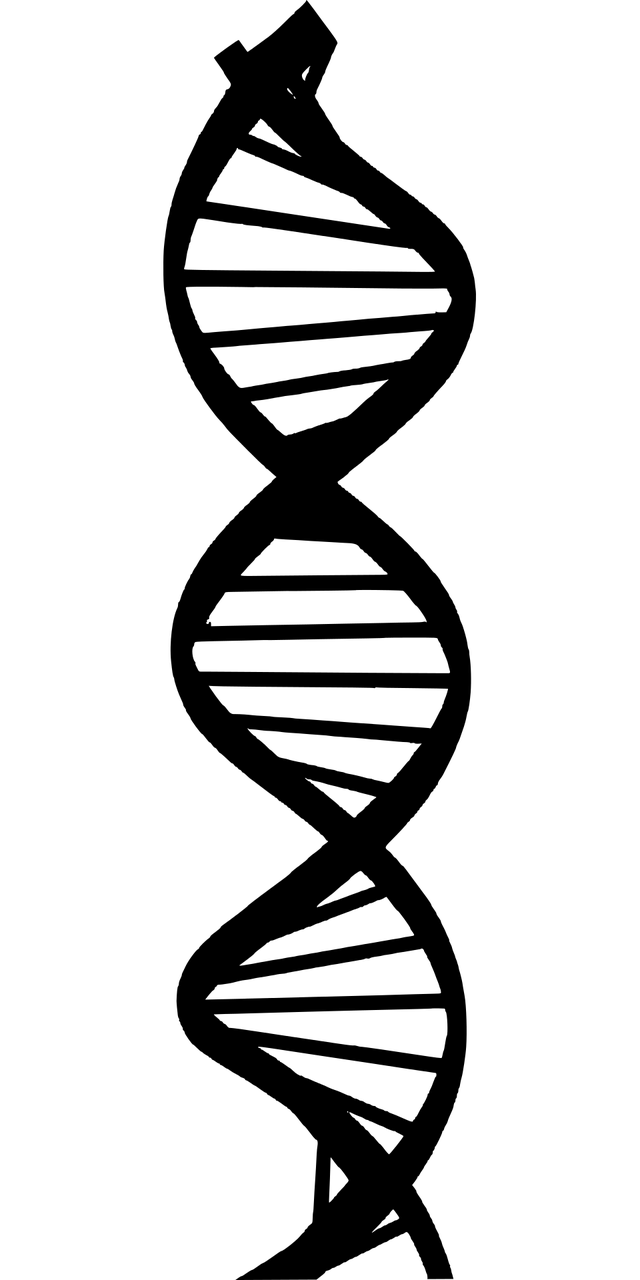 silhouette-3691934_1280